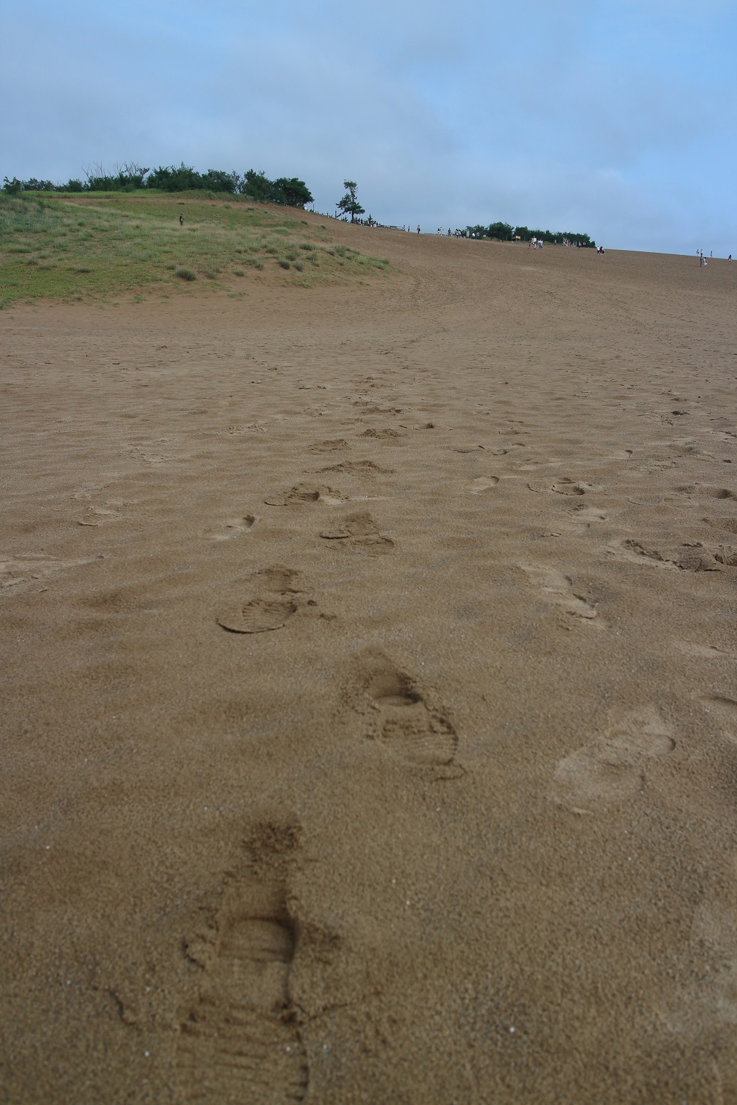 鳥取砂丘にて、サルの足跡